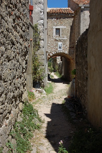 Lubenice
